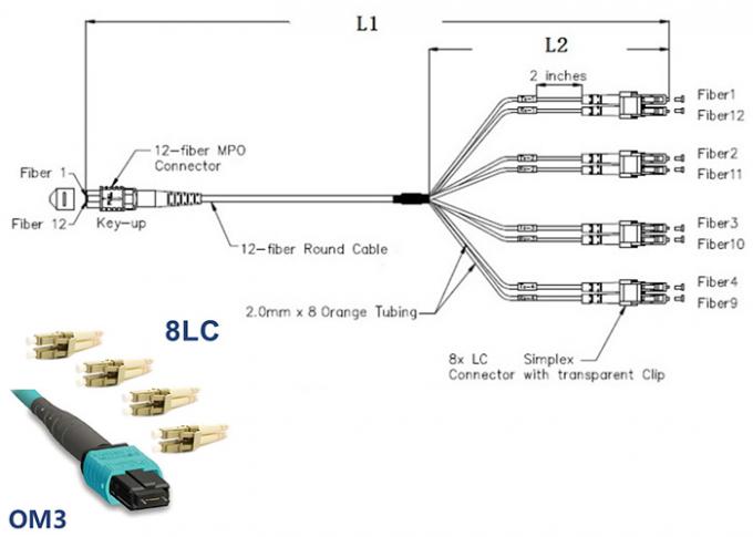 単一モードMPO MTPのパッチ・コード8はLC 10G OM3のパッチ・コードの芯を取ります catv termination diagram 