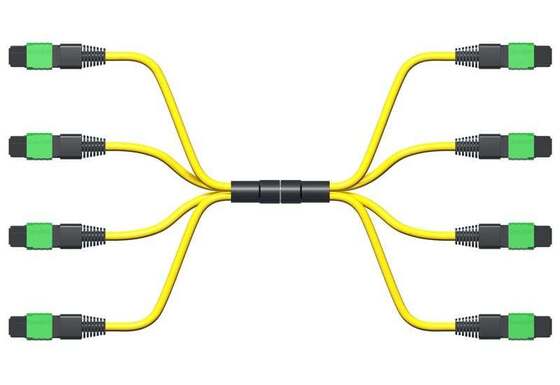 4*8F 4*12F 4*24F MPO/APC Patch Cord MTP/APC Single Mode Trunk Cable Type A Type B Type C Polarity