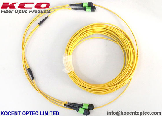 MPO APC 24fo 48 コア G657A1 エリート挿入損失 MTP Fibra Optica トランク パッチ ケーブル